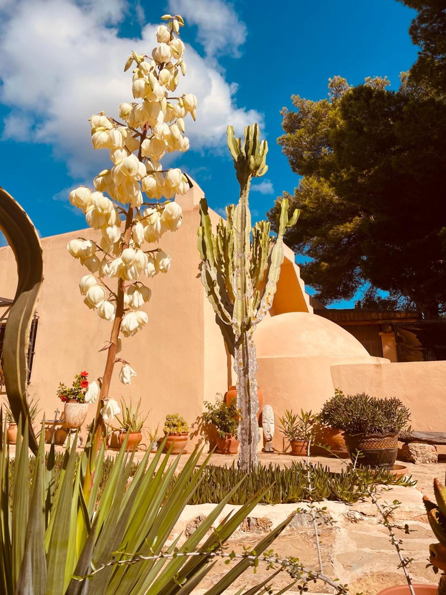Finca Can Toni Sant Jordi de ses Salines Экстерьер фото